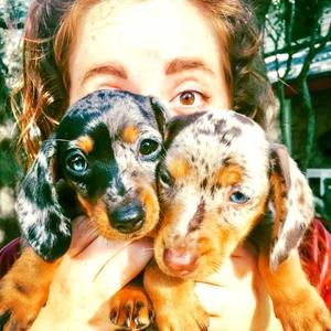 Meet your Posher, Julie